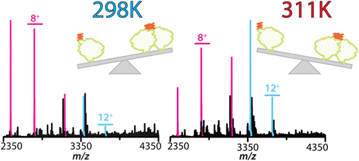 Featured publication graphical abstract