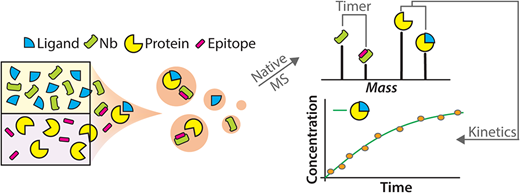 Featured publication graphical abstract