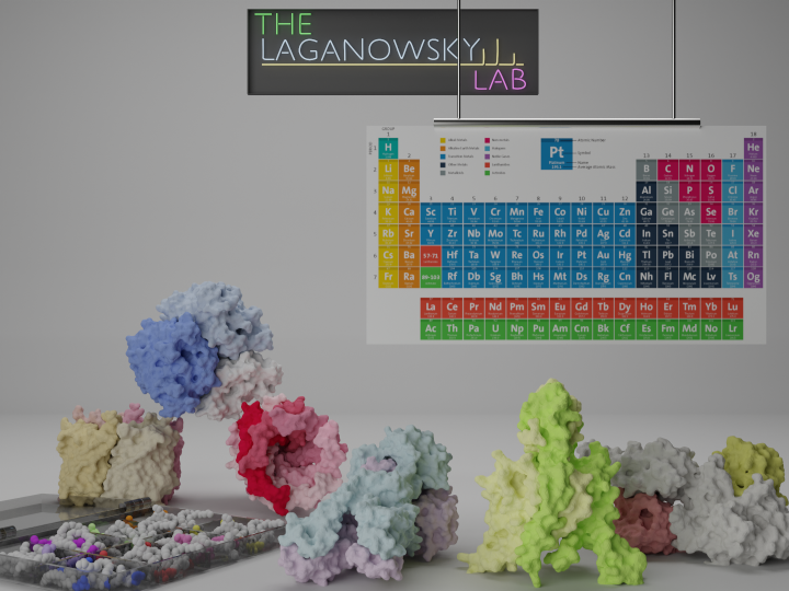 Molecular representations of membrane protein systems studied in the Laganowsky Lab
